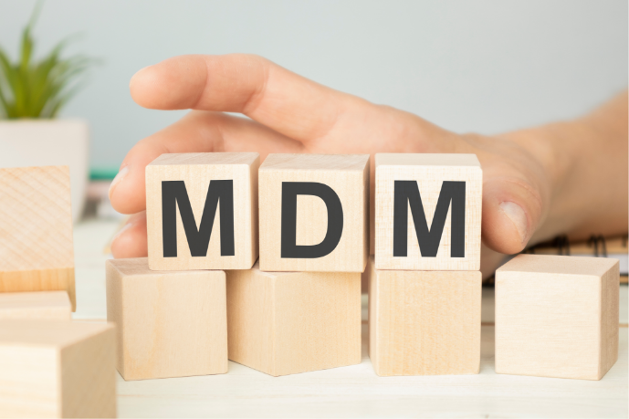 SAPユーザーのマスターデータ管理の課題を解決するアイネスのMDMシステム