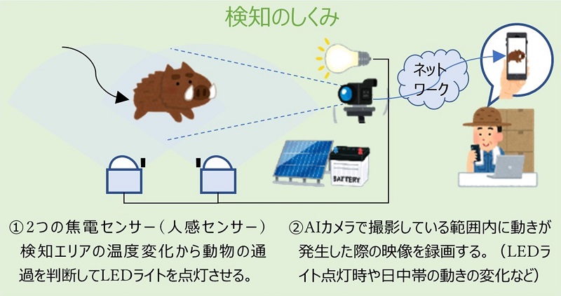 【動物検知センサーで取得できたデータ】